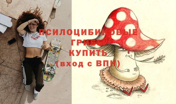 ALPHA PVP Армянск