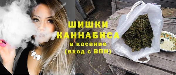 ПСИЛОЦИБИНОВЫЕ ГРИБЫ Арсеньев